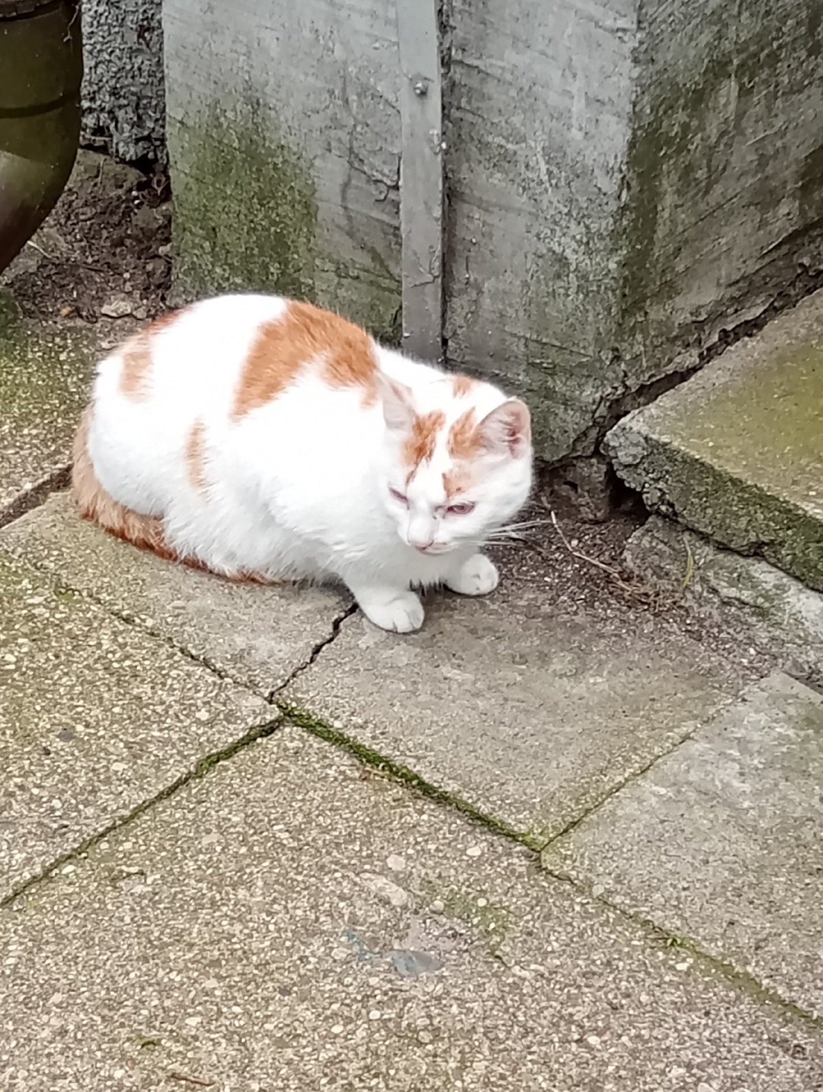 84619bb1-7e58-4da0-88e6-0e1fc29cf919