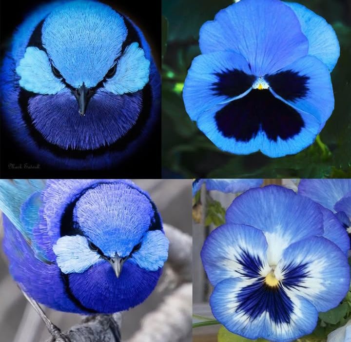 3524d9bf-e190-4952-a4d1-54eb637a4fdb