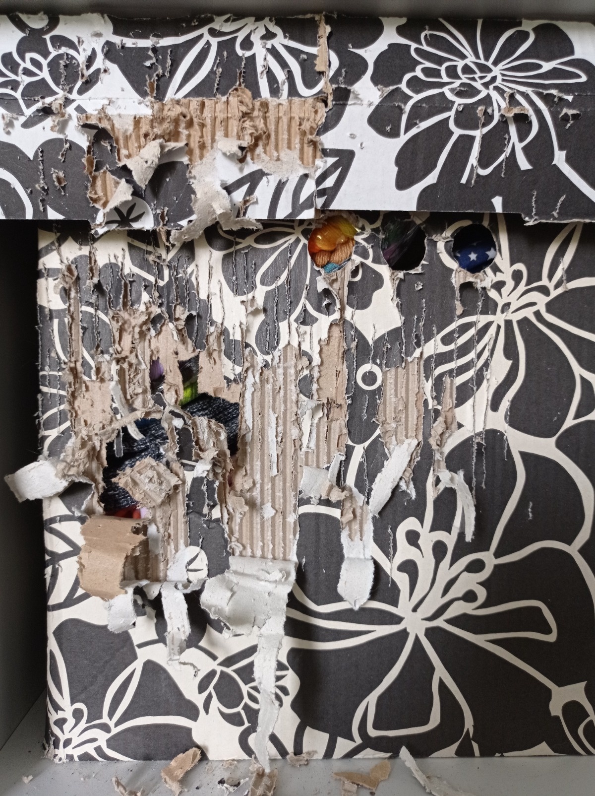 268dc8ab-aa3d-4fa7-94e3-419ea244089a