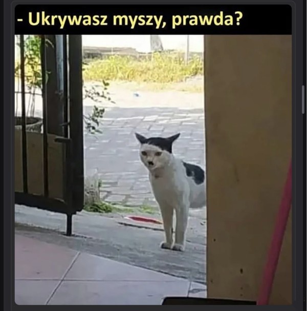 84a8a986-8f2d-4512-a919-c3a2265a92a3