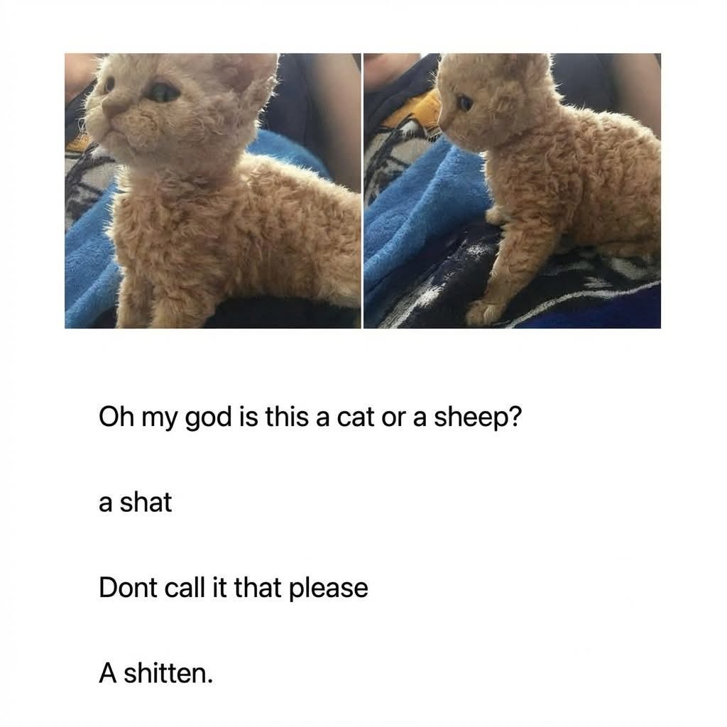 7c28ef6a-0a44-4929-b414-3a1b67c87509