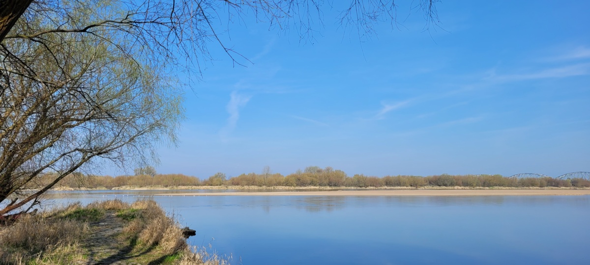 41da13f3-38b5-43ec-858d-02bd39916b94