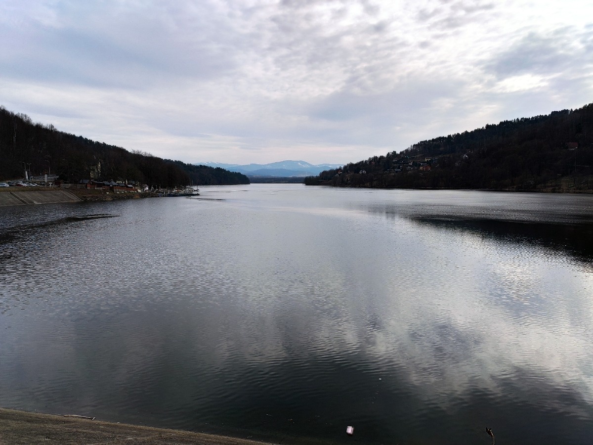 9a3cc50f-4b94-42ff-aafe-34e0362e8c2d