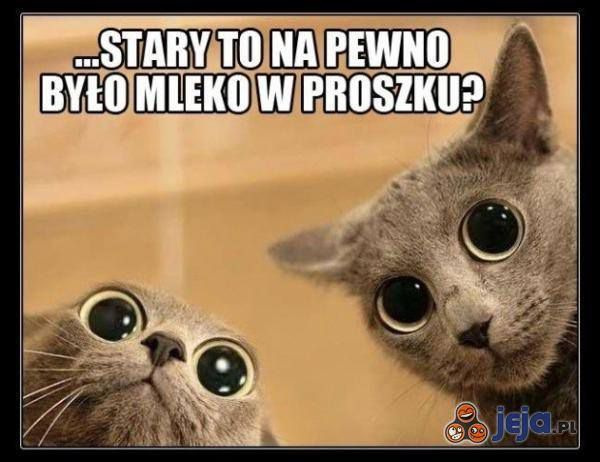 2c00b238-9c92-4785-b254-0addfde436bc