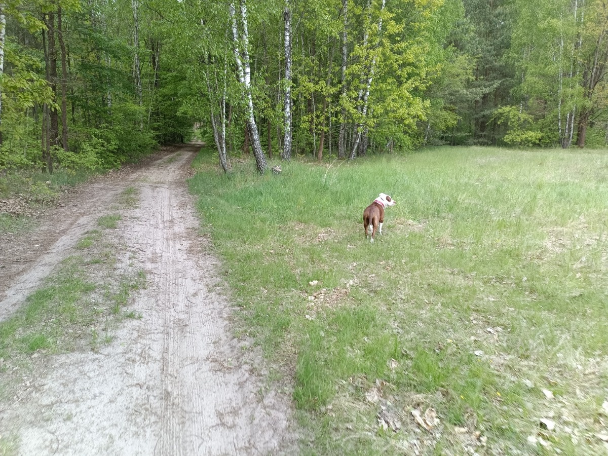 0b44a0d1-ea41-43b7-ba7a-f8e6175ec935