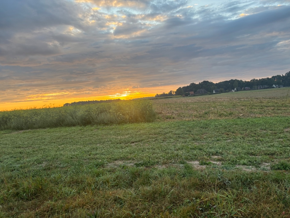 f6784399-8b34-43de-8c47-a4c8ab89beb5