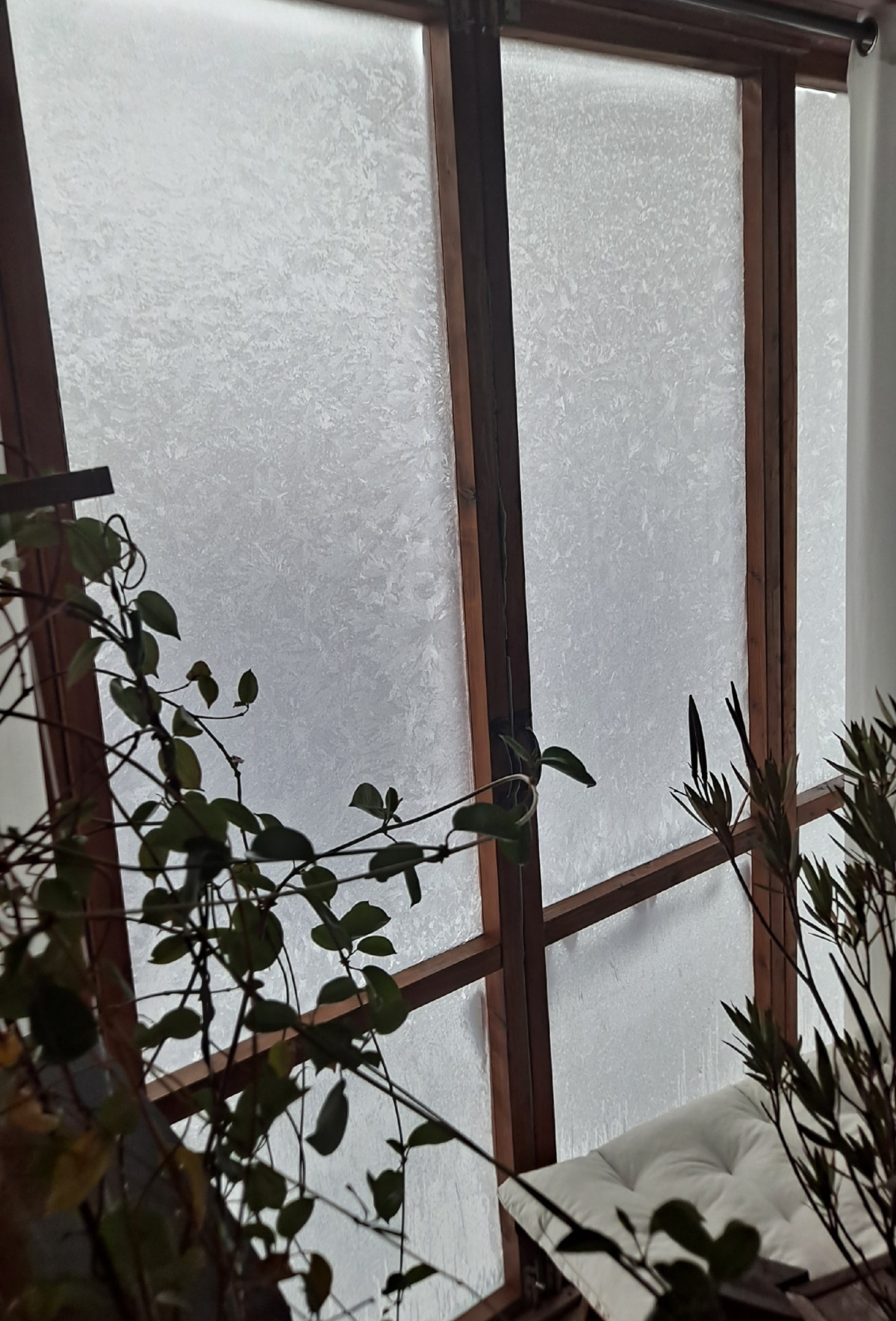 6df181a2-5e46-4796-a13a-da0eea3266a2