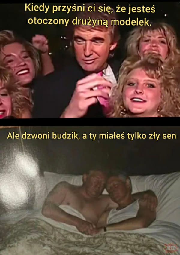 160d4f95-bbe5-485d-b9f6-891b9cda3a6c