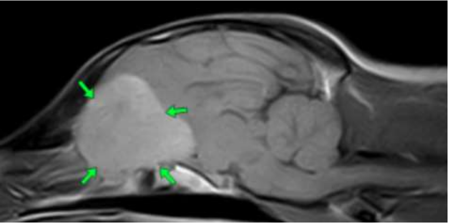 9ea0c035-3a6a-4927-a7b1-64cf2a8dbb75