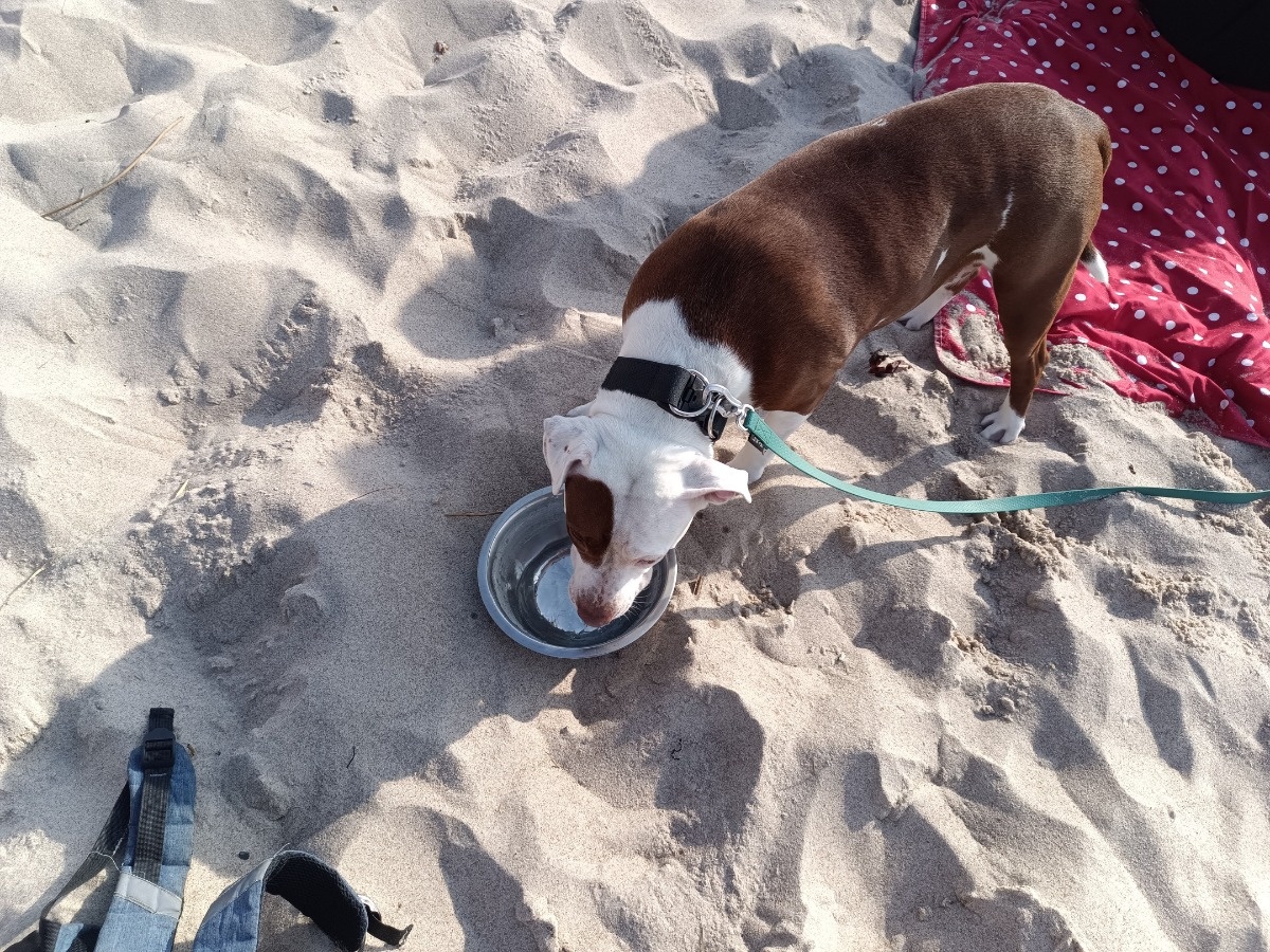 8587e00f-6dd1-4b3d-9068-659bc80b7857