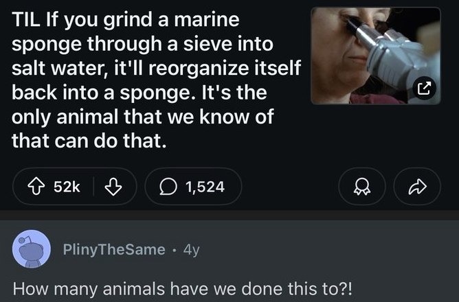 50c84c44-3d00-4c8f-81dc-3adc5a1935fc