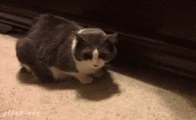 31e26fc2-0646-45fd-ae9e-e9b3270fe8db