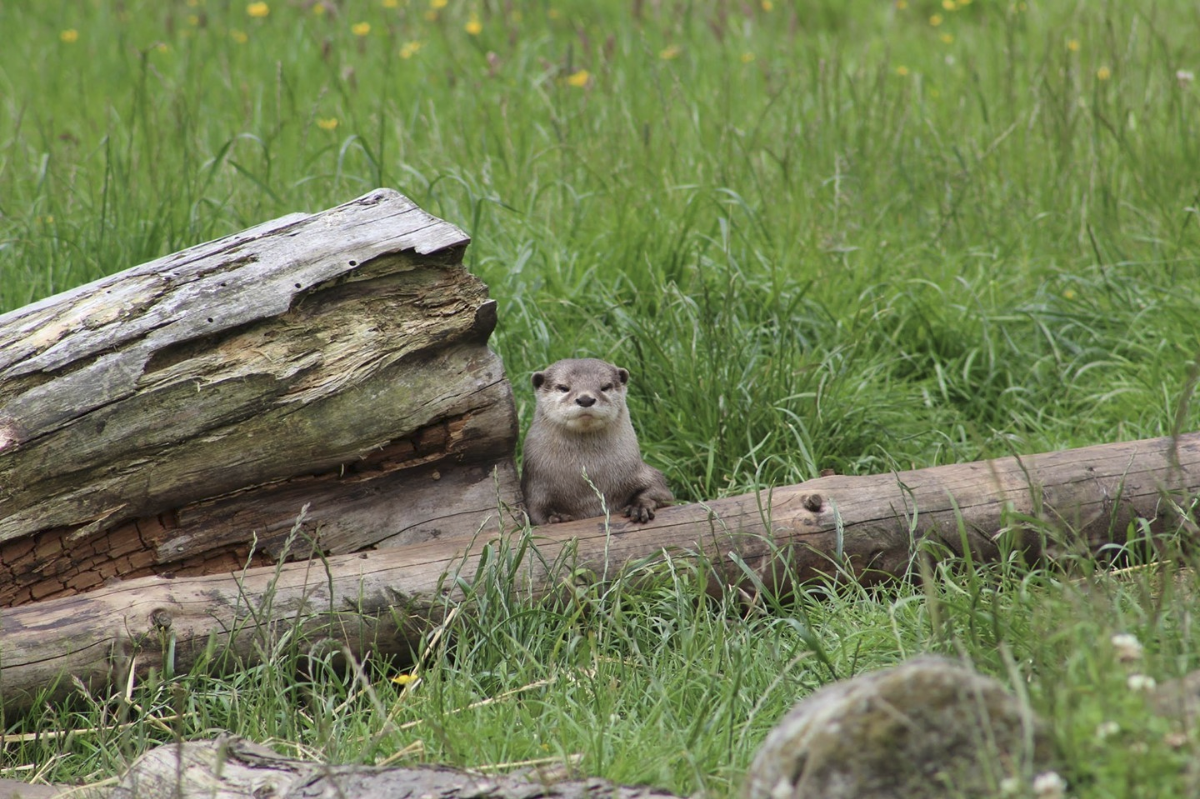 392ca512-5267-4134-a6c6-ab85b42b3b1e