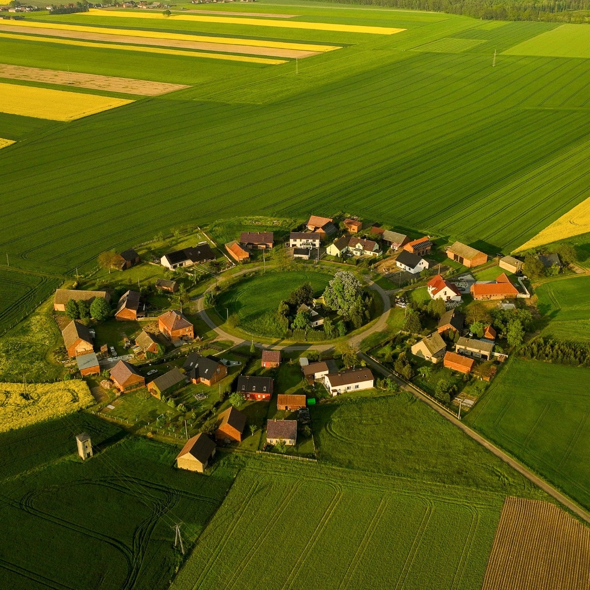 cc6667bb-4ec8-4a15-ab39-87f700860451