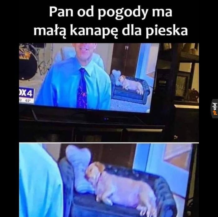 c1c33cd6-af96-4825-9ad8-775c94fdd390