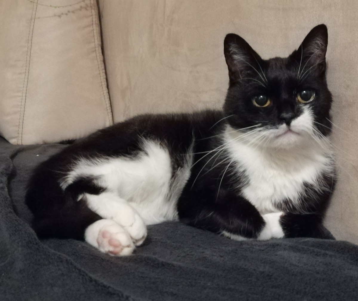 87ef75b7-4b8f-42e2-b323-f8c8b308fdf5