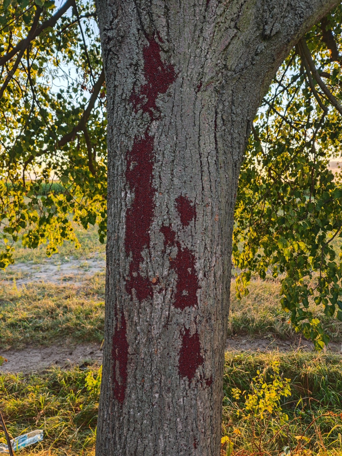 6a094a53-c17a-4c0f-9079-2e902cd757b5