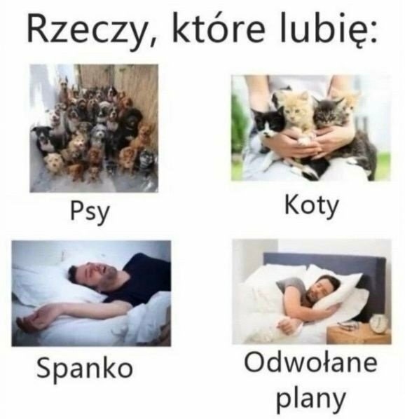 1c9000c4-2e69-49c2-8b8d-ea6a26ef0890