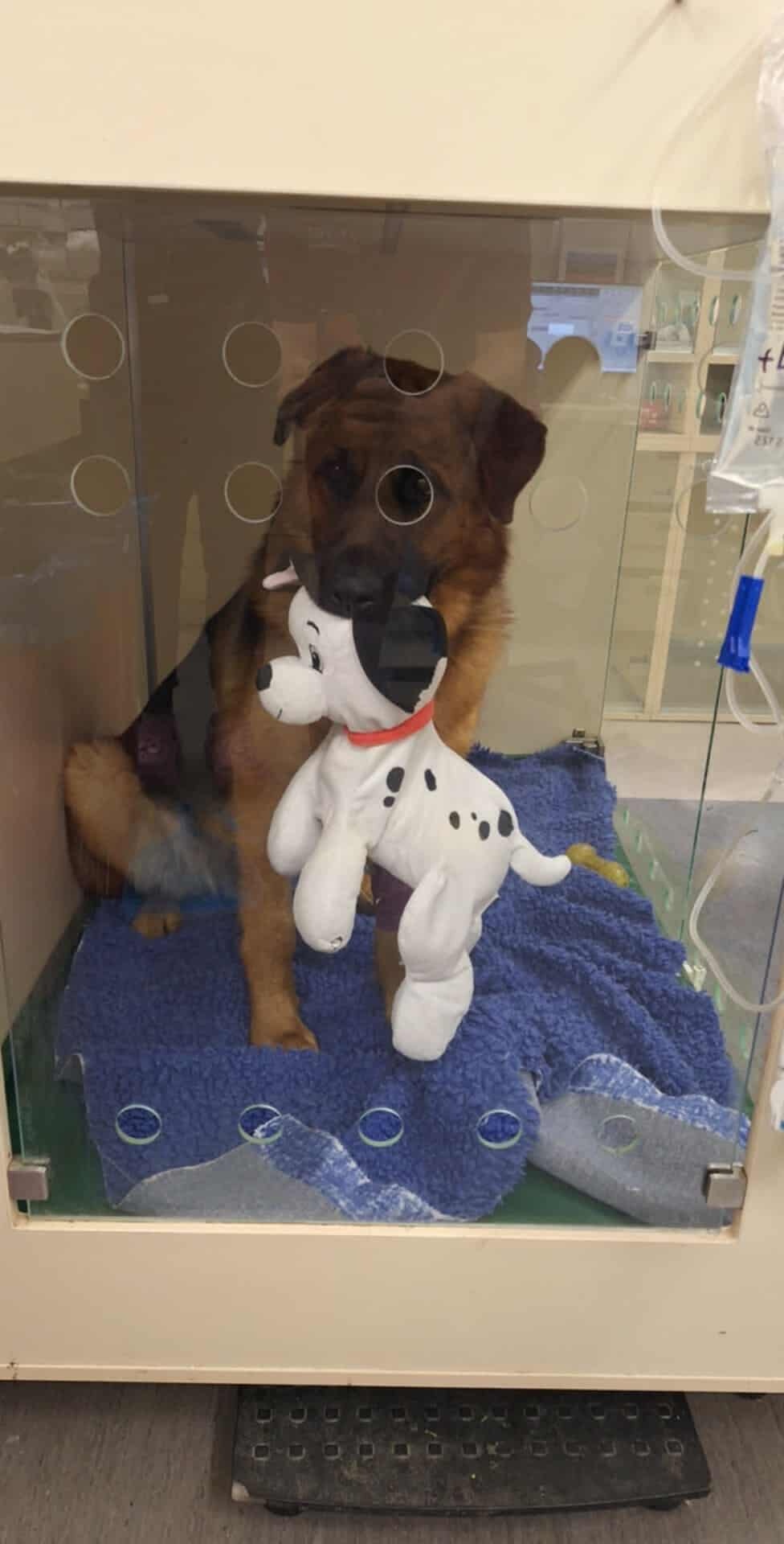 8c4c84b8-3ccf-422e-8e6e-676b76026319