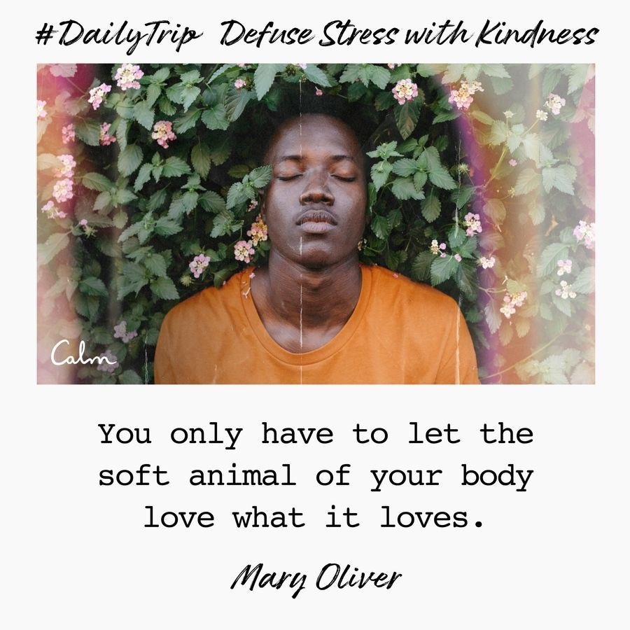 88048b64-6073-4d56-a7b8-7a05dc967d56