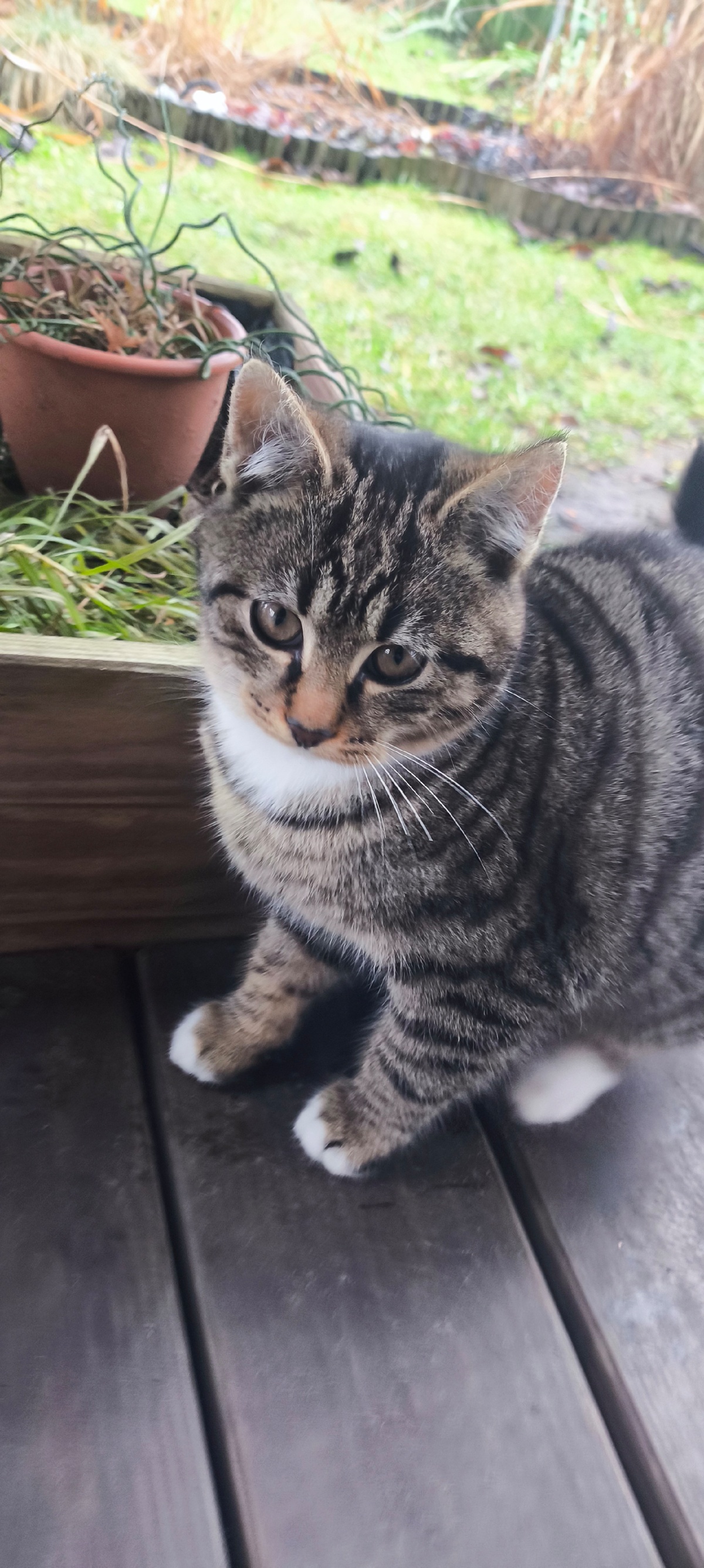 6e98e89b-d46c-4f2f-b98f-215297444e6d