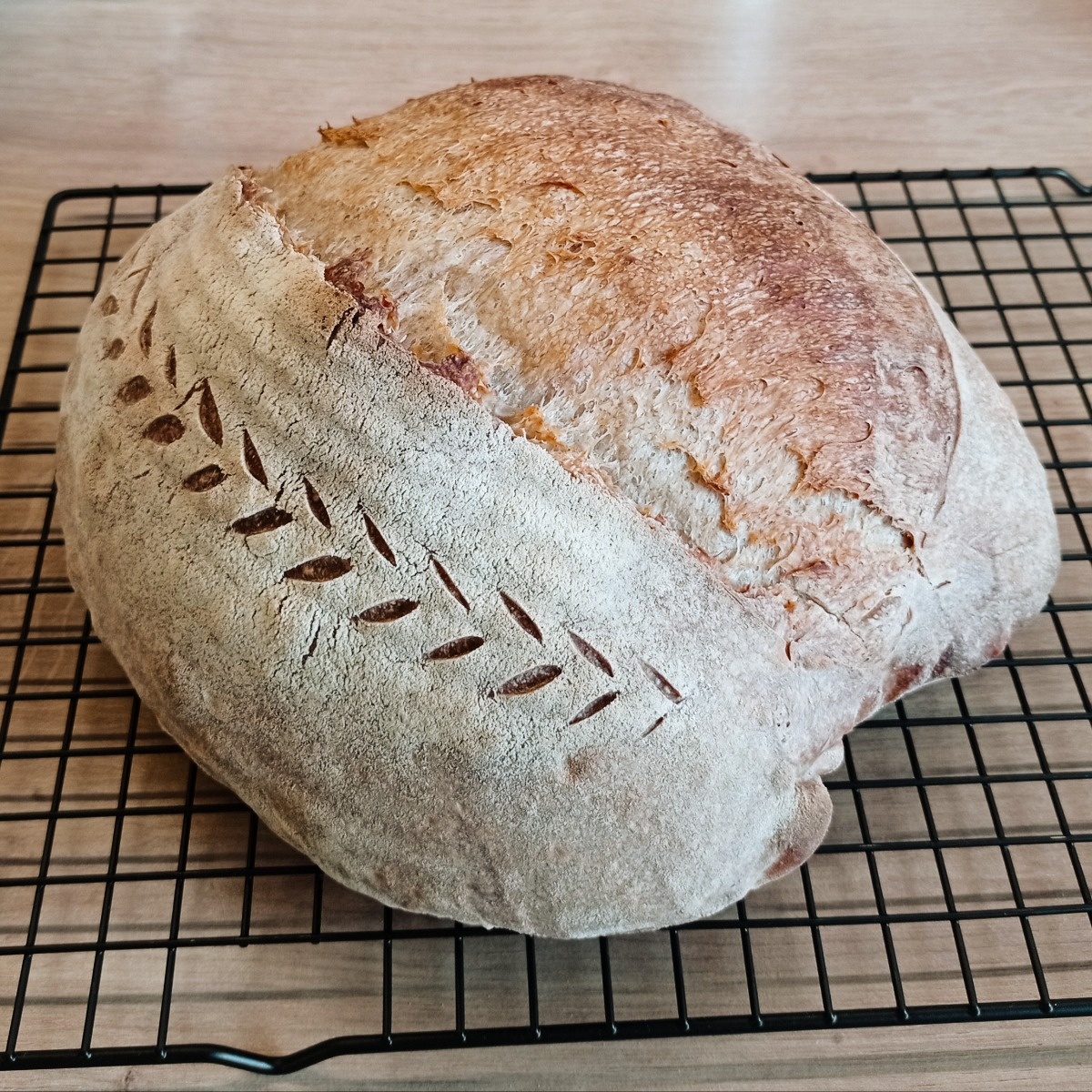 e9414137-a4df-43ea-8a1e-8ed5f34be387