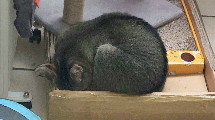 6eede422-d86b-4ae1-83cf-143f9ed5ecf0