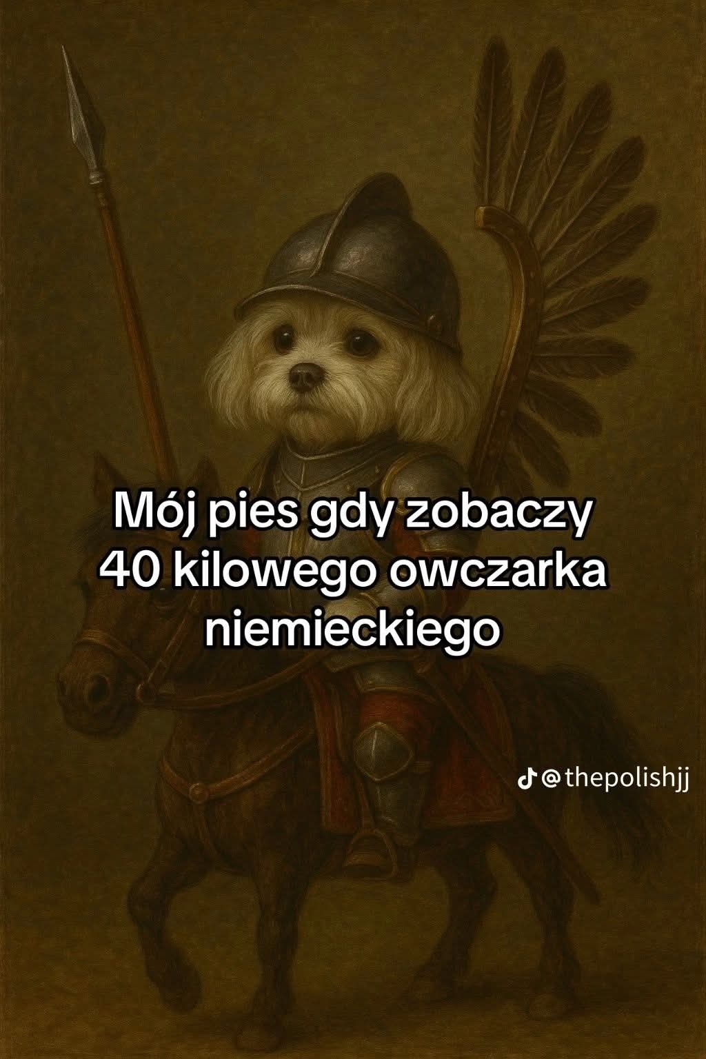 063c3b68-2eca-42f3-921a-a3e2f54c6077