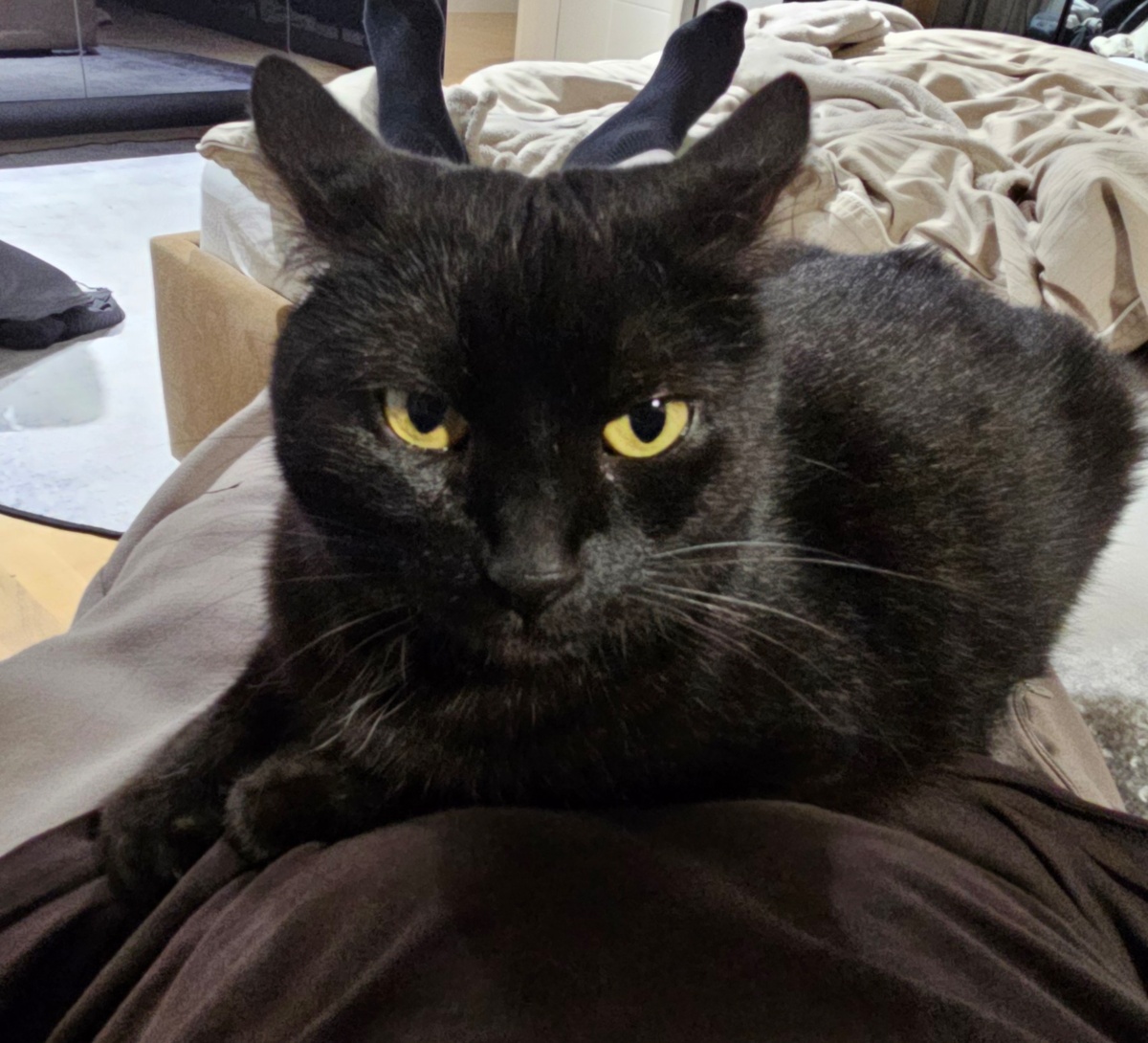 bee2f670-b164-4419-ab1a-8dee0c94d039