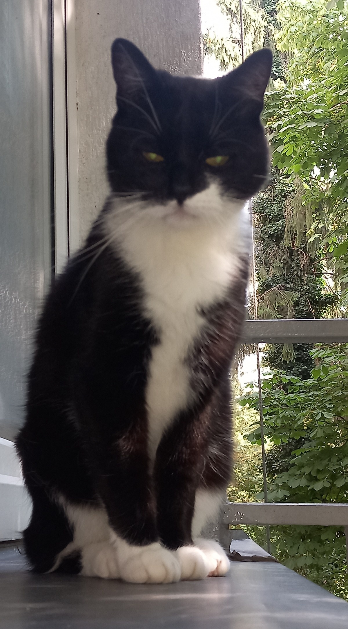 bafeb69c-98b4-408c-94a6-38fed2527c06