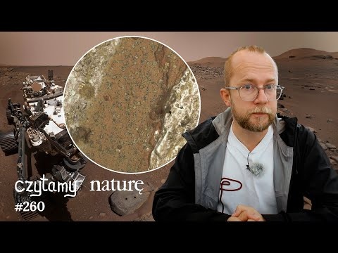 Plotki o życiu na Marsie - Mrówki superwydajne - Czy AI wymyśli, jak ulepszyć AI? | CN 260