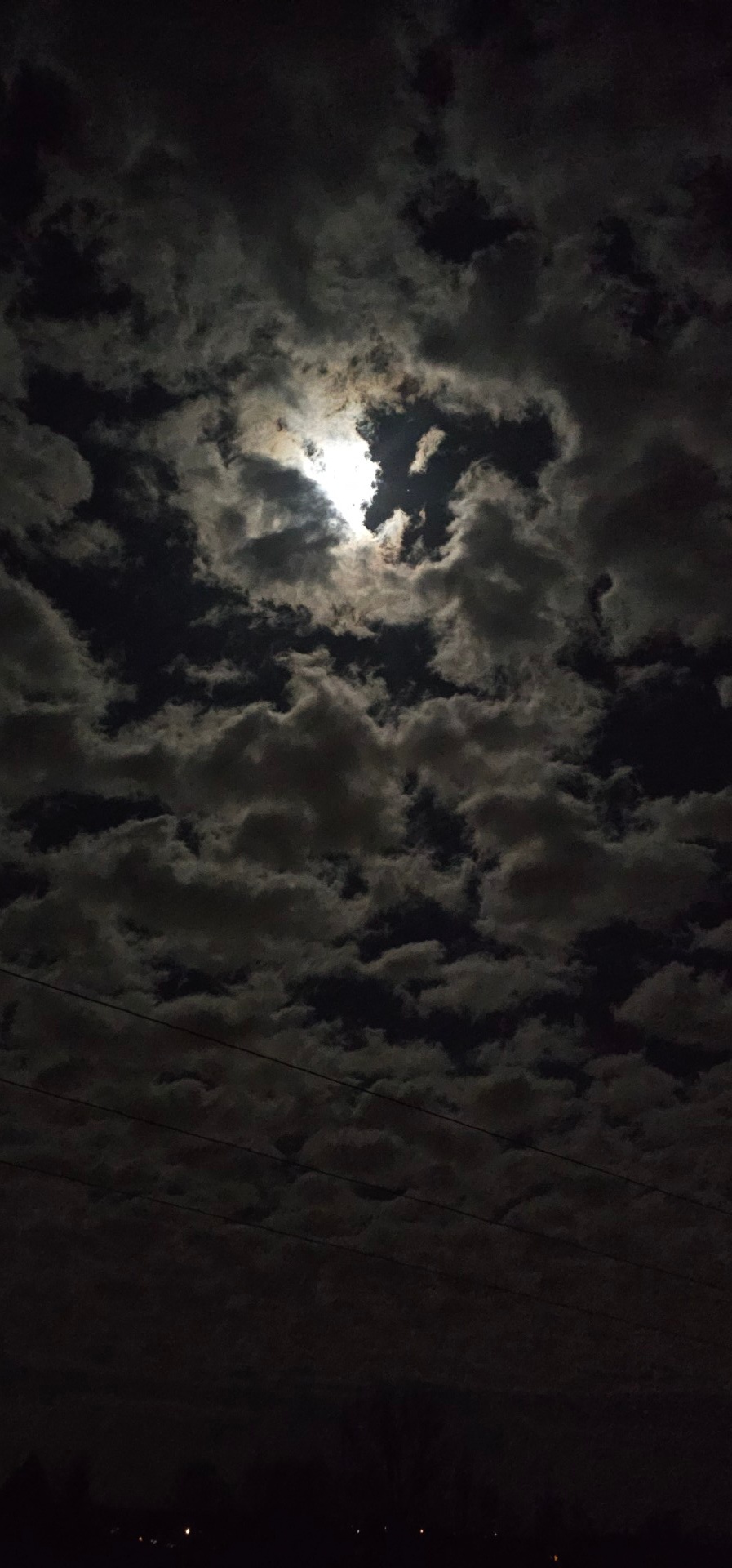 39bba0d6-fffc-42f0-9556-f2b2f64bf870