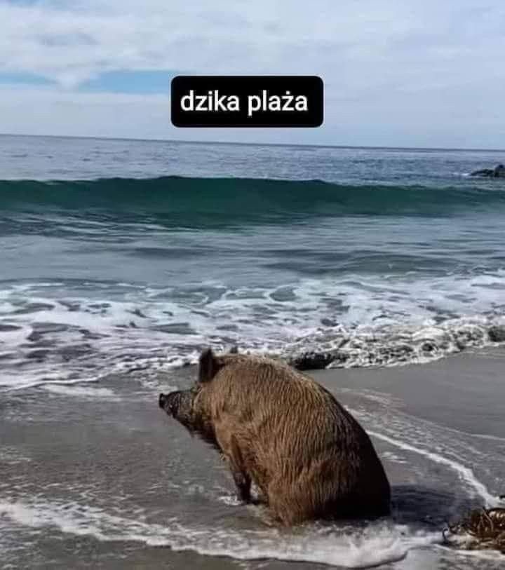 30b4691a-7a5f-4fe6-9278-d73d8b05daa8