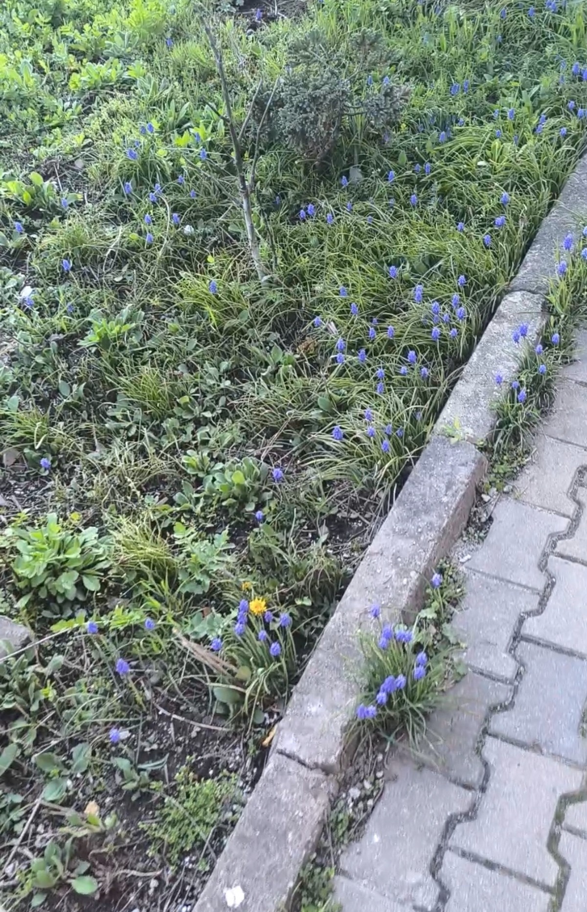 b922c78f-1eb9-479c-a1fc-f6e583cfd8cf