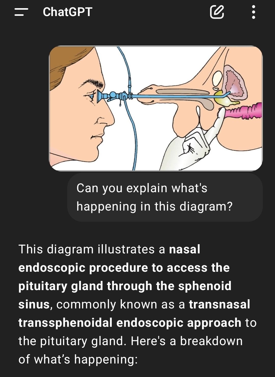 e5030f0a-ea4d-447d-8016-59bfced5d9d5