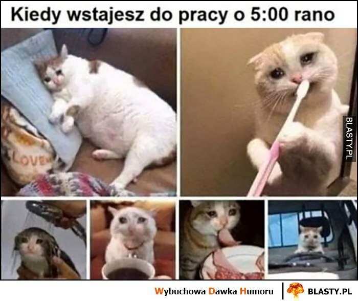 8624efa9-a448-488e-9aae-dbce6e284c11