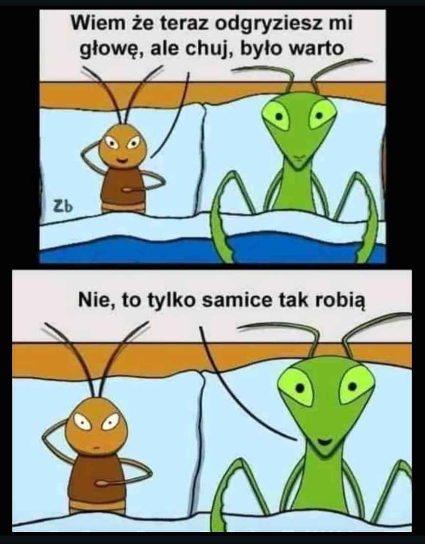 042e080e-6a16-4f11-939b-8a2aa30d0751