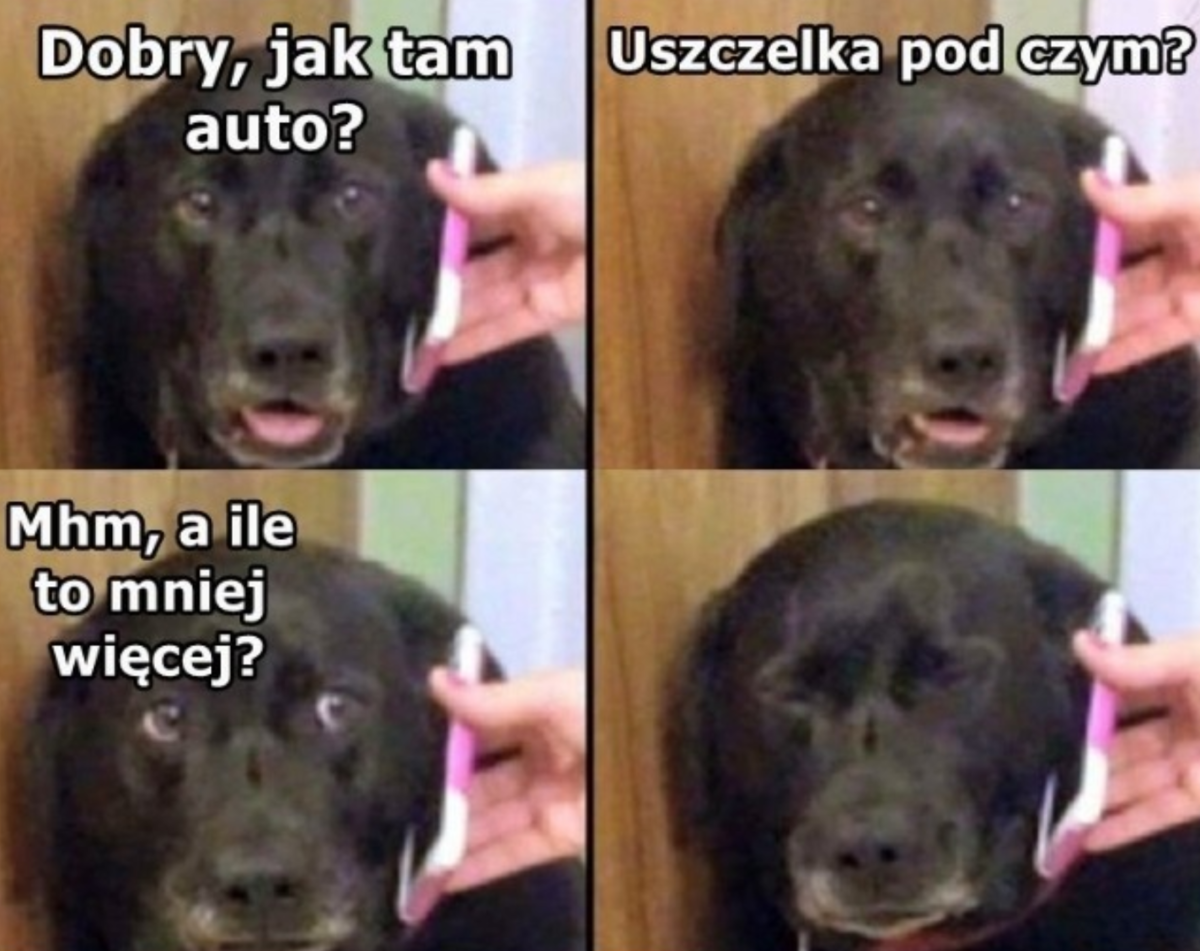 9ff20366-b0d9-4ccb-b6e8-9da11c5ddae2