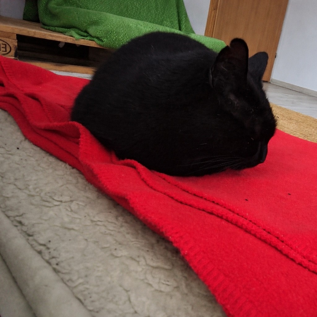 96789432-6247-4b2d-9cc5-26857aab93b0