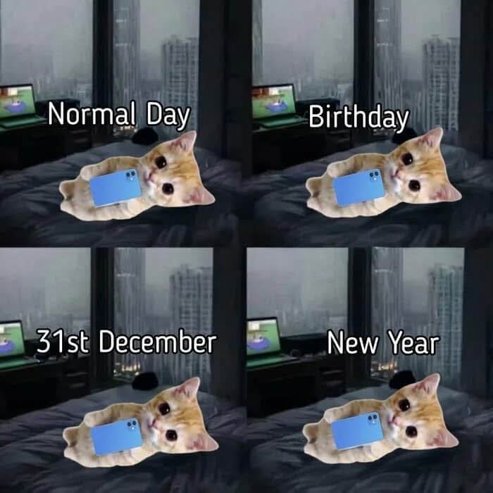 b23fe855-663e-4730-8979-19637031f695