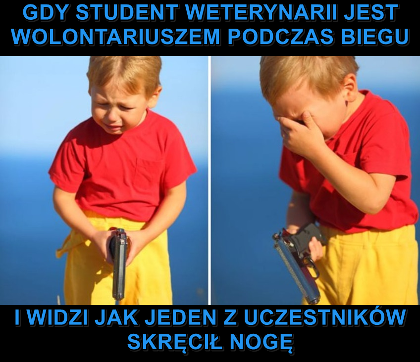 0c53caa3-cbe9-4d01-888a-41188dbaa6ff