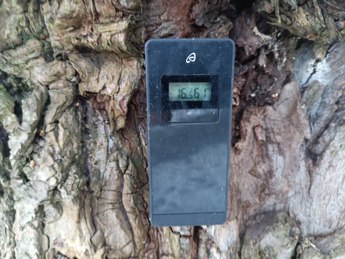 7bcdbb96-97ed-40ff-9129-1a55e9723b60