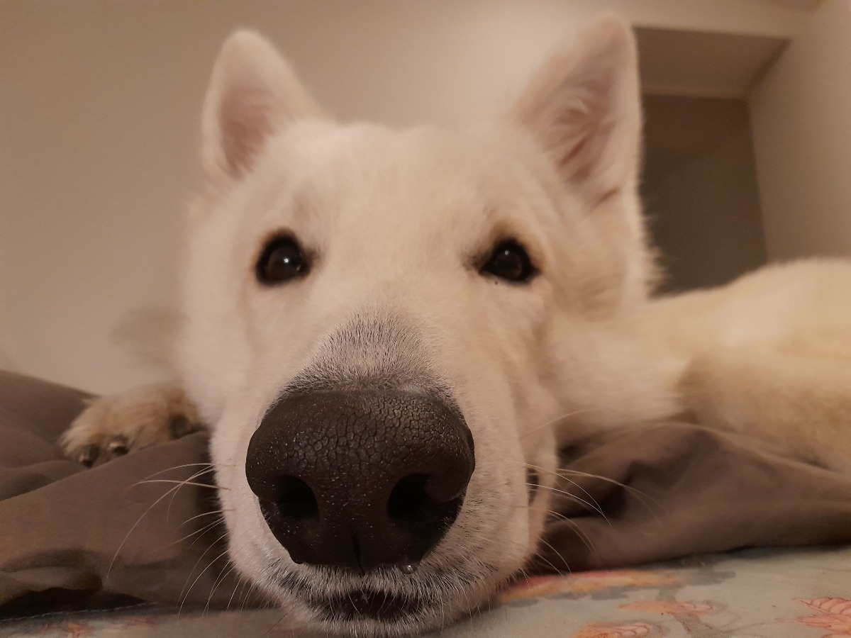 f4fba2b1-a63e-4591-a774-926e7be60047