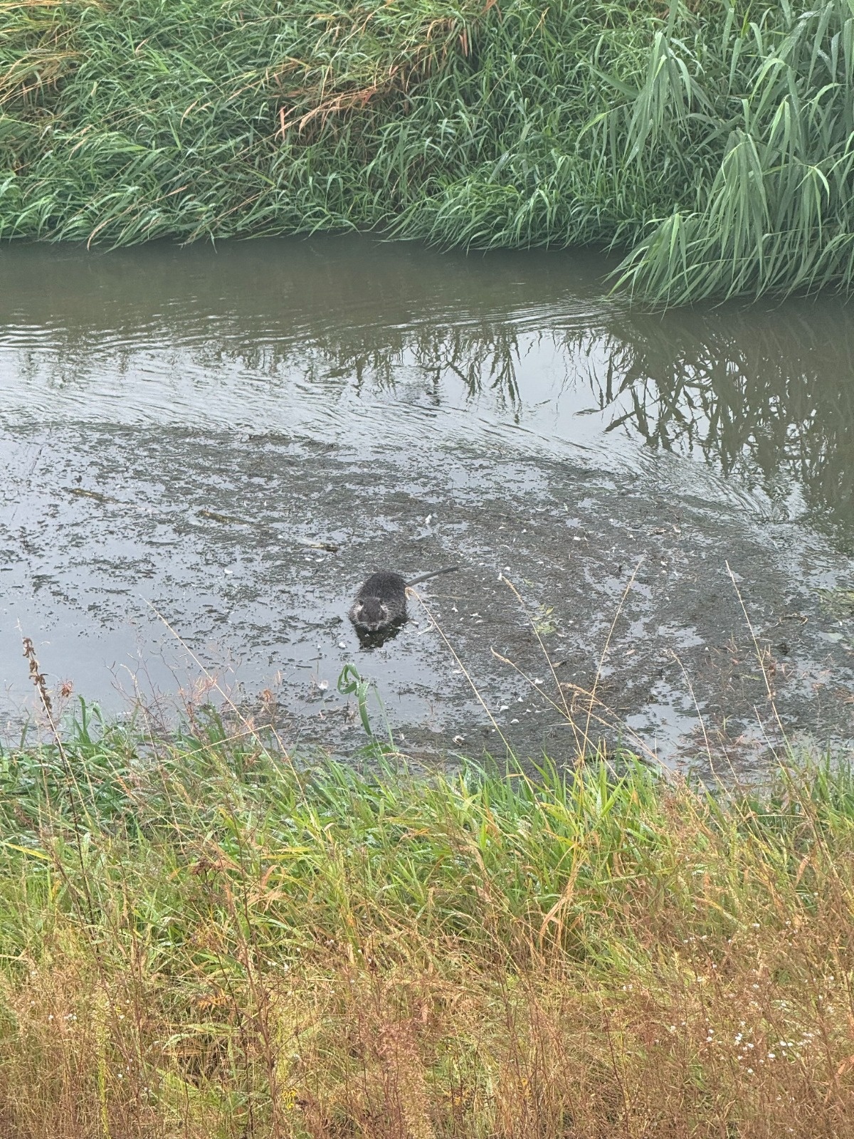 4454b1f6-38da-48ad-b3ac-db5bd7f7248f