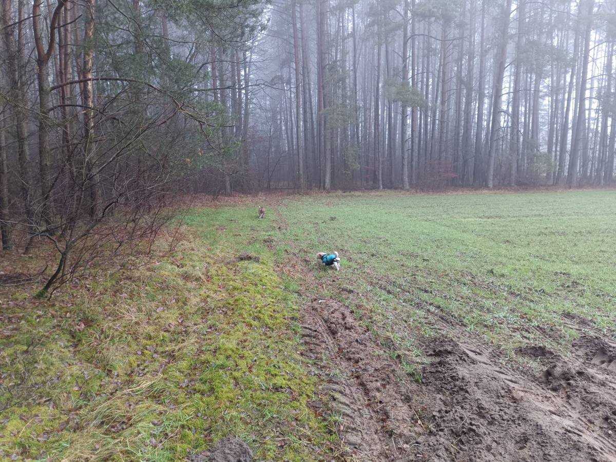 9bafc88b-d624-4dc4-a06f-257e25236b66