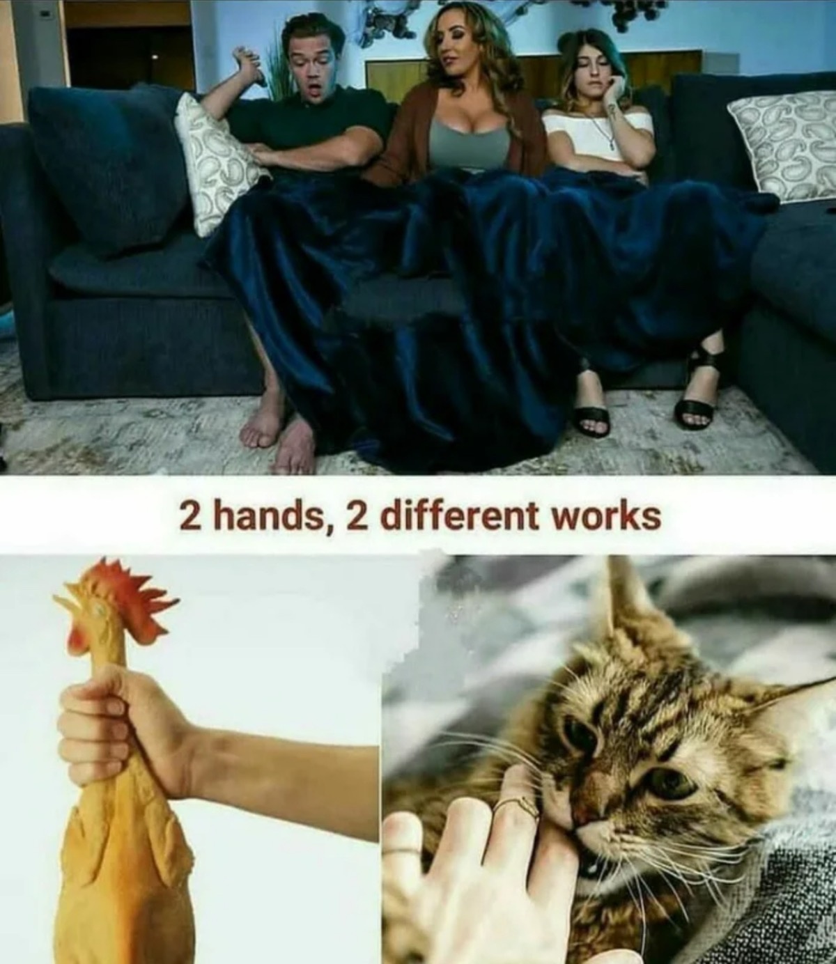 c216d16d-c77a-4041-acee-33eab8addad8