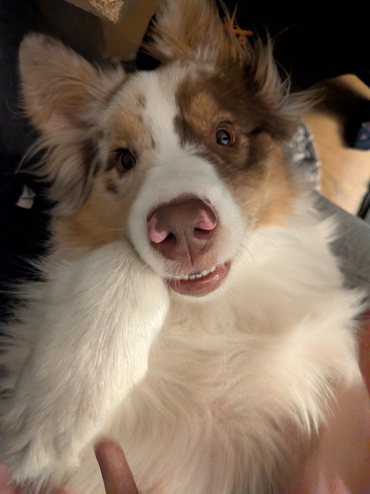 5502b907-39ee-4e0a-9e7f-a9707f3091b7