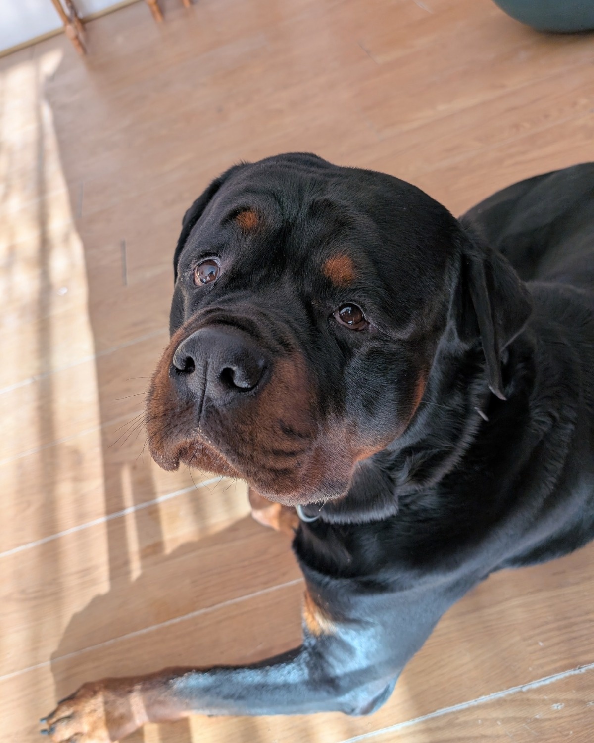 1c020cd5-49aa-4e4e-9266-0983ba47271d