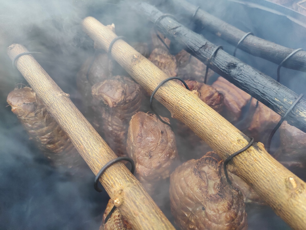 c5a6ea4b-b563-4d19-86c1-44c08fb3356d