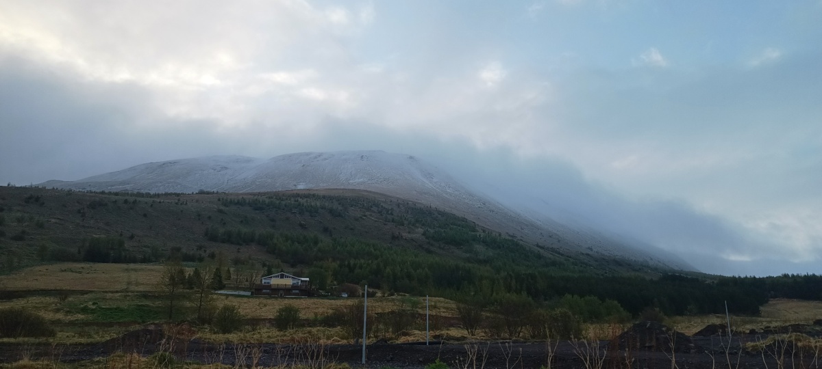 8dd41e67-ed9d-4ec2-9571-4e7398c65c3e